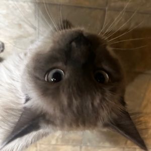 Meet your Posher, Teresa